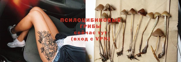 а пвп мука Бородино
