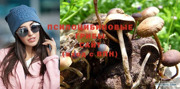 гашик Бронницы