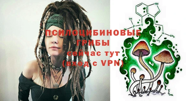 а пвп мука Бородино
