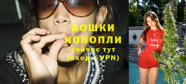 гашик Бронницы
