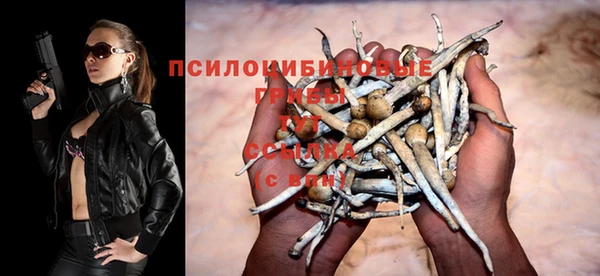гашик Бронницы