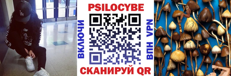 Галлюциногенные грибы мицелий  Новохопёрск 